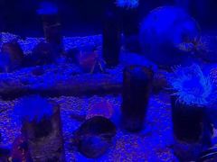 -苏州海洋馆