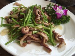 -致美楼(前门店)