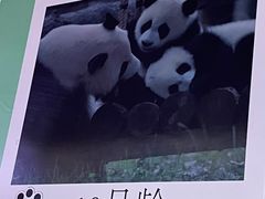 -杭州野生动物世界