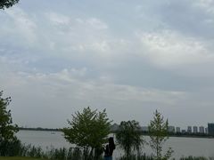 -柳湖沙月沙滩公园