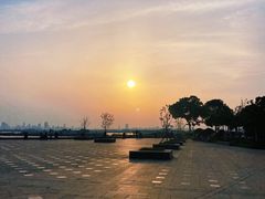 -合肥滨湖国家森林公园
