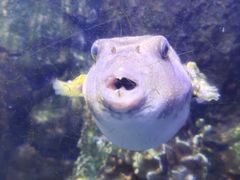 -太平洋海底世界