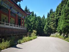 -武陵山森林公园