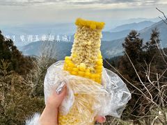 -南岳大庙