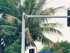 -百万葵园