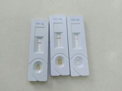-瑞鹏宠物医院·宠保定点·心脏科·内科(御桥分院)