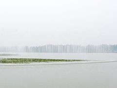 -金沙湖旅游度假区