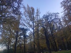 -阳台山自然风景区