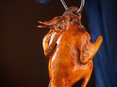-羽鸽集·乳鸽专门店·地道顺德菜(岭南站店)