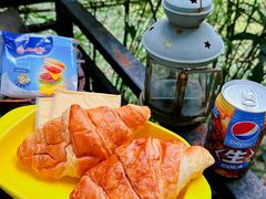 -广州市流溪河国家森林公园