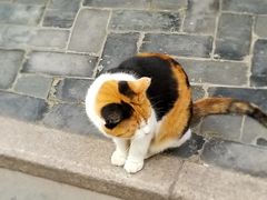 -巴金故居