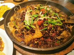 -老板恋上鱼(环山路店)