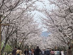 -长田漾湿地公园