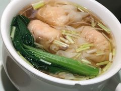 -南枝记