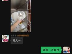 -美联众合动物医院·24h转诊中心