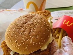 -麦当劳(塔园路店)