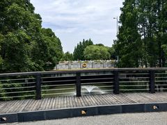 -九里河湿地公园