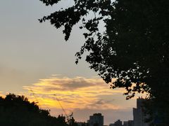 -宋庆龄陵园