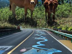 -武陵山森林公园