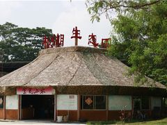 -松山湖南湖湾露营营地