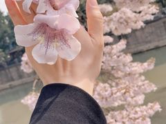 -红星桥(地铁站)