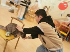 -Let's go狗咖·猫咖·奶狗·桌游(春熙路IFS店)
