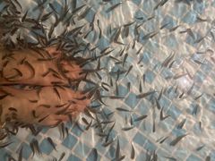 -涨巢·潮玩水疗局