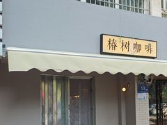 -椿树咖啡