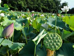 -韶山毛泽东同志故居