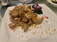 -大东海海鲜酒楼(渔人码头总店)