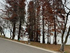 -团城山公园