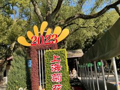 -上海共青森林公园