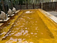 -春晖园度假酒店温泉