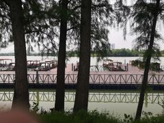 -金银湖国家城市湿地公园