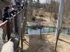 -太原动物园