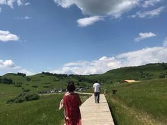 -塞罕坝国家级自然保护区