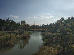 -上海滨江森林公园