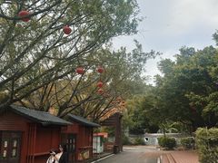 -李小龙乐园(顺德均安店)