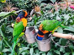 -南宫五洲植物乐园