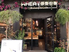 门面-原麦世家(莱蒙店)