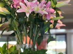 -春暖花开(西溪店)