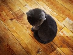 -么么咖啡(燕郊店)