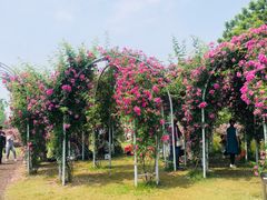 -尚贤河湿地