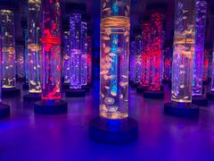 -梦幻海洋王国(吾悦广场张家港店)