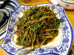 时令青菜-岩泊渡桂鱼楼活鱼馆