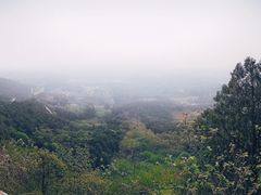 -北京西山国家森林公园