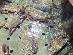 -天天渔港(杏林街店)