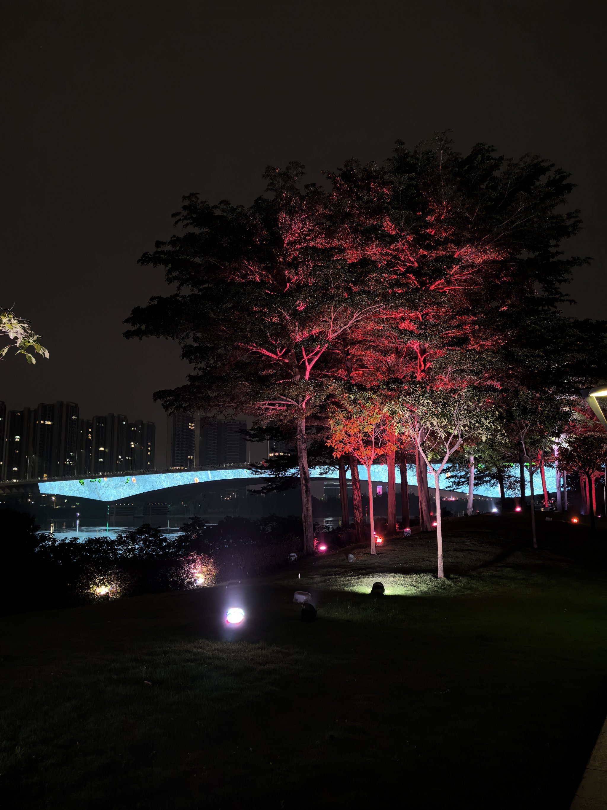 佛山禅城夜景图片