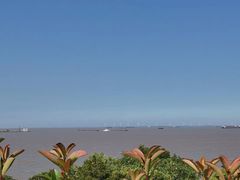 -上海吴淞炮台湾国家湿地公园