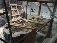 -武汉动物园